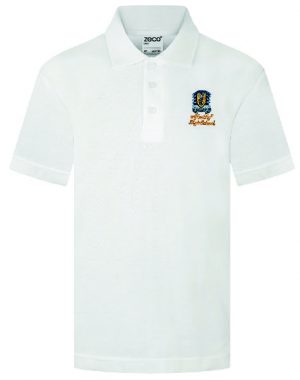 Afon Taf Polo W